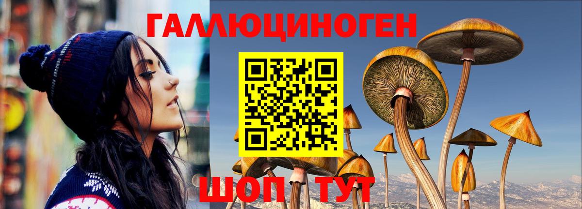 Псилоцибиновые грибы Psilocybine cubensis  Вход с VPN  Москва 